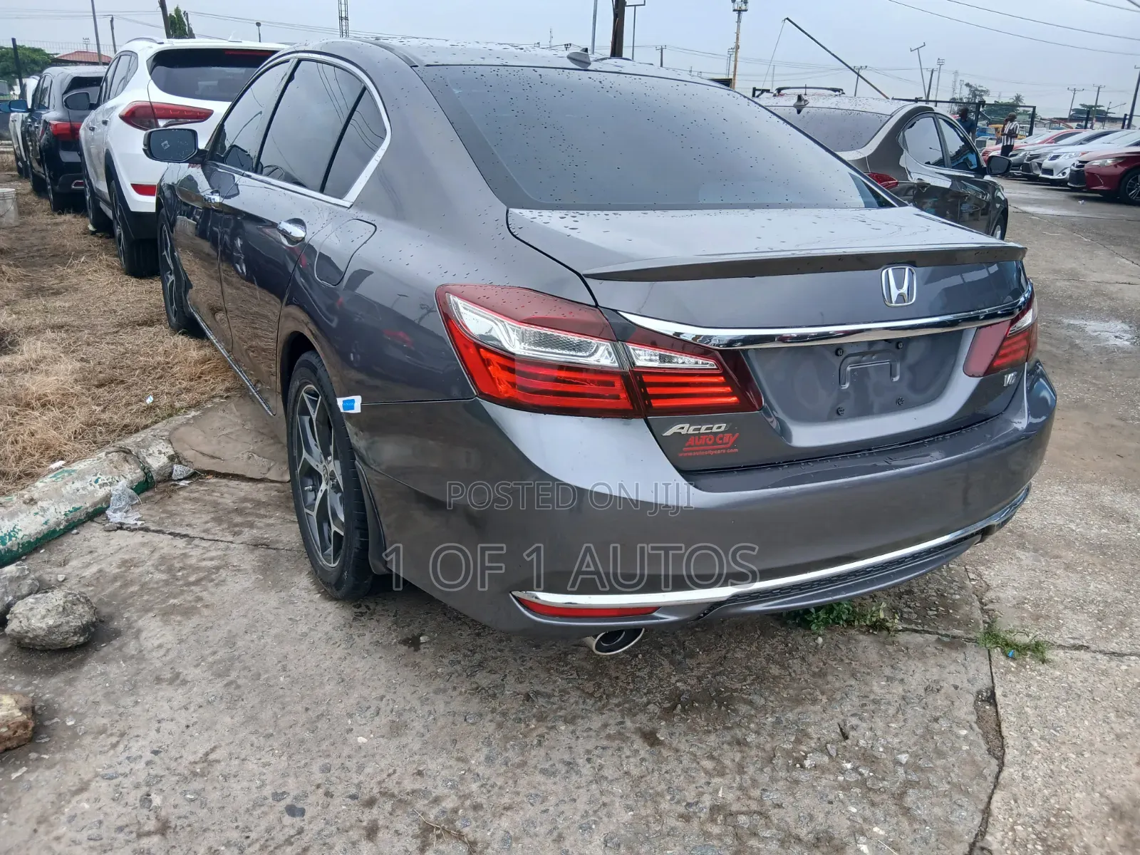 Honda Accord EX-L V-6 4dr Sedan FWD (3.5L 6cyl 6A) 2013 Gray