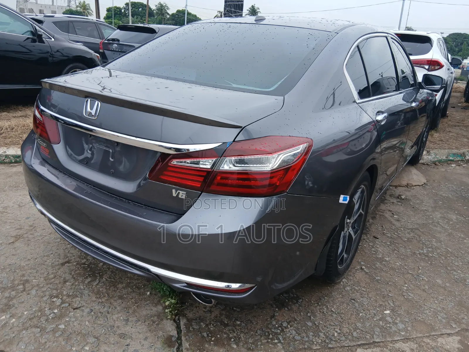 Honda Accord EX-L V-6 4dr Sedan FWD (3.5L 6cyl 6A) 2013 Gray
