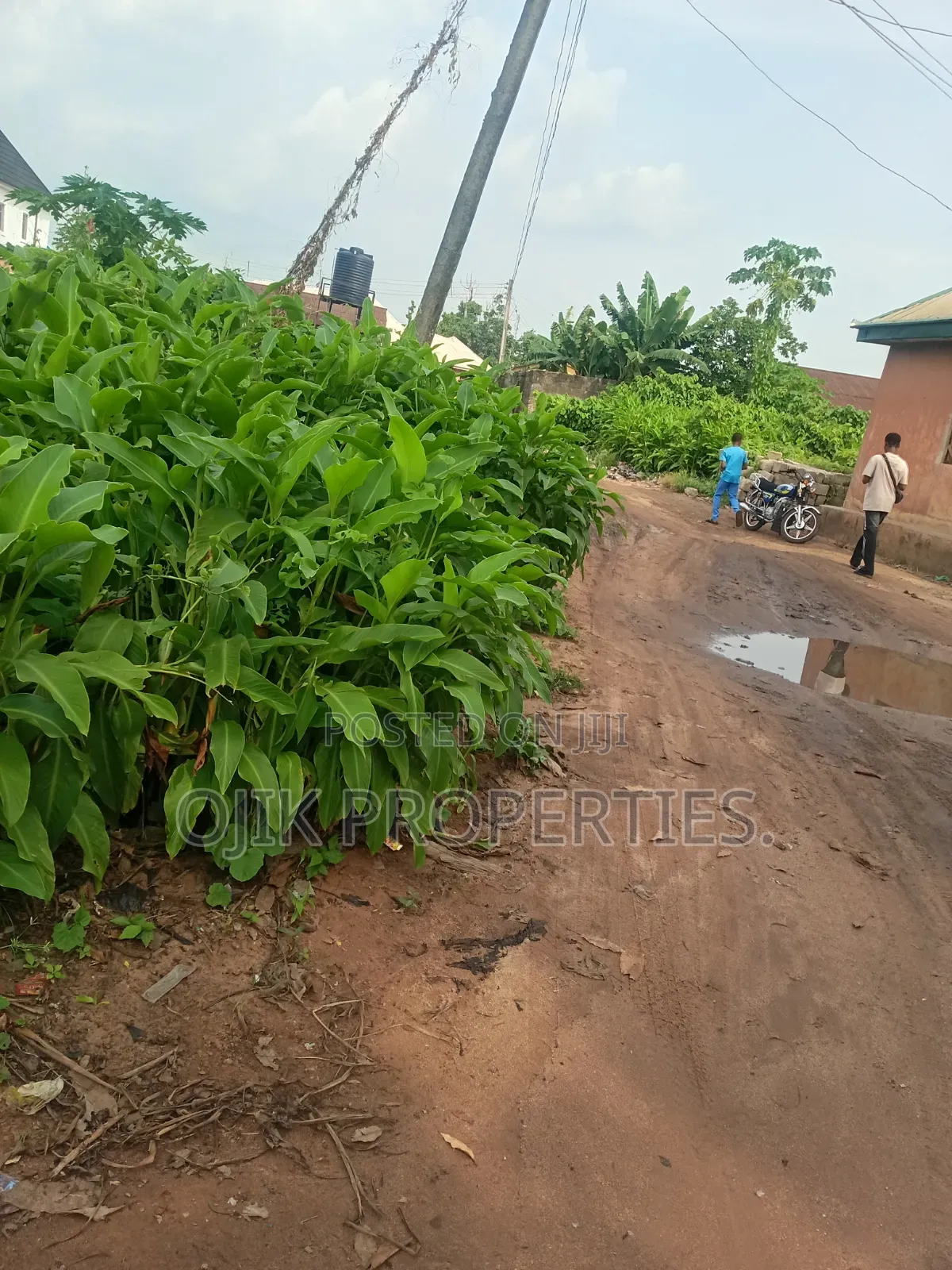 Land Property