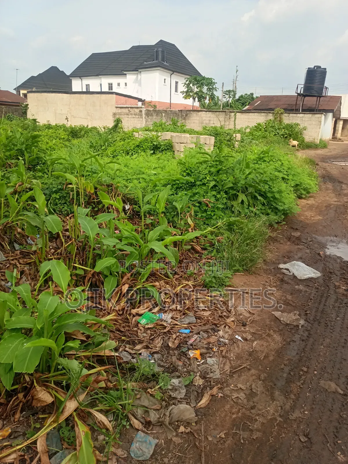 Land Property