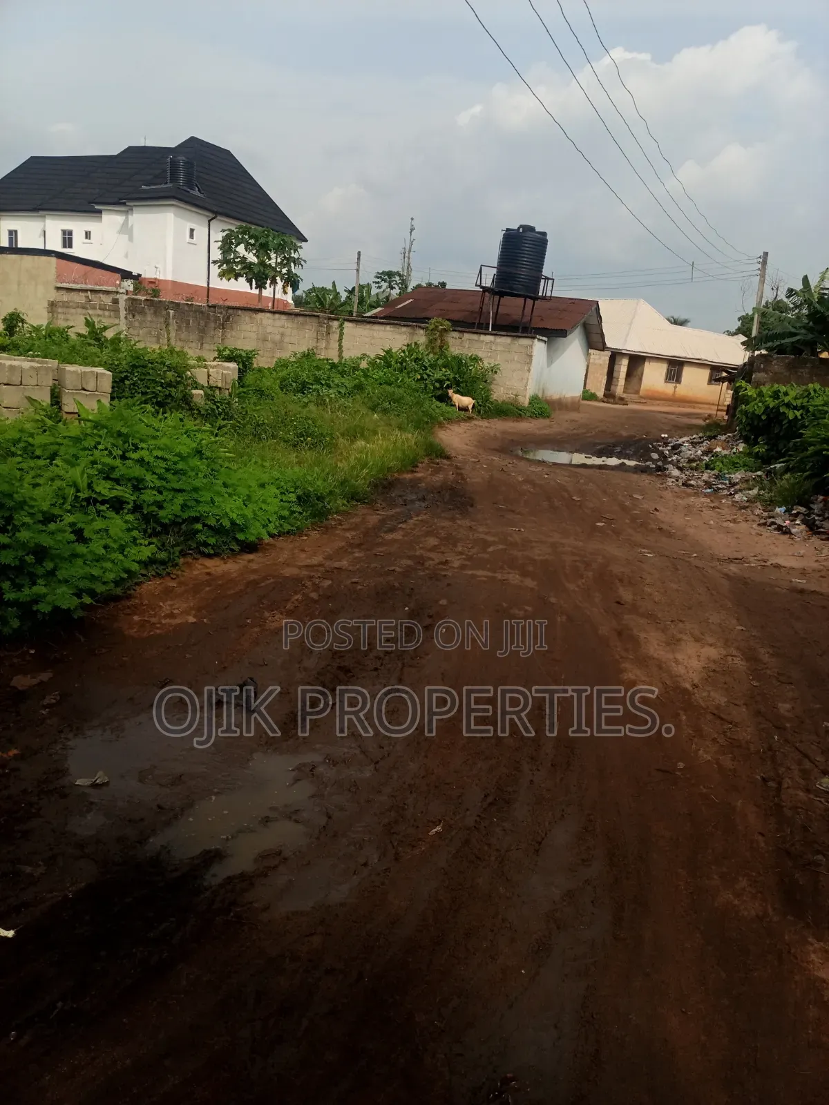 Land Property
