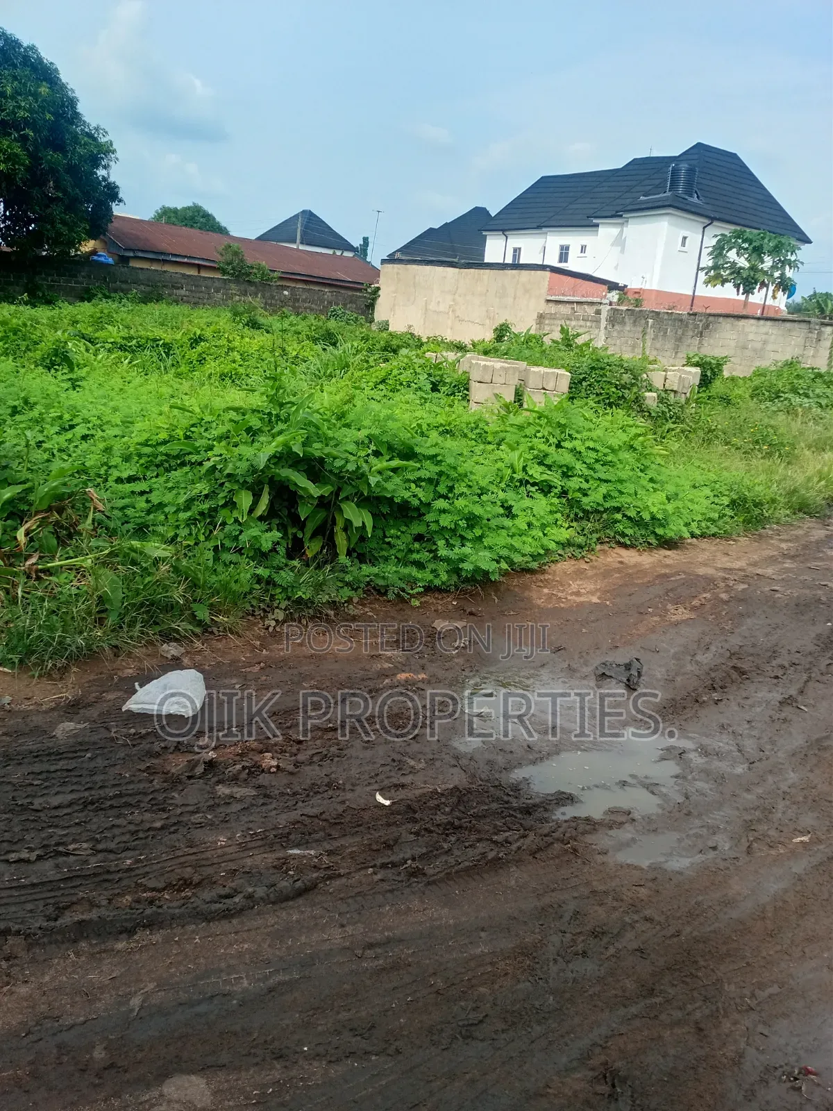 Land Property