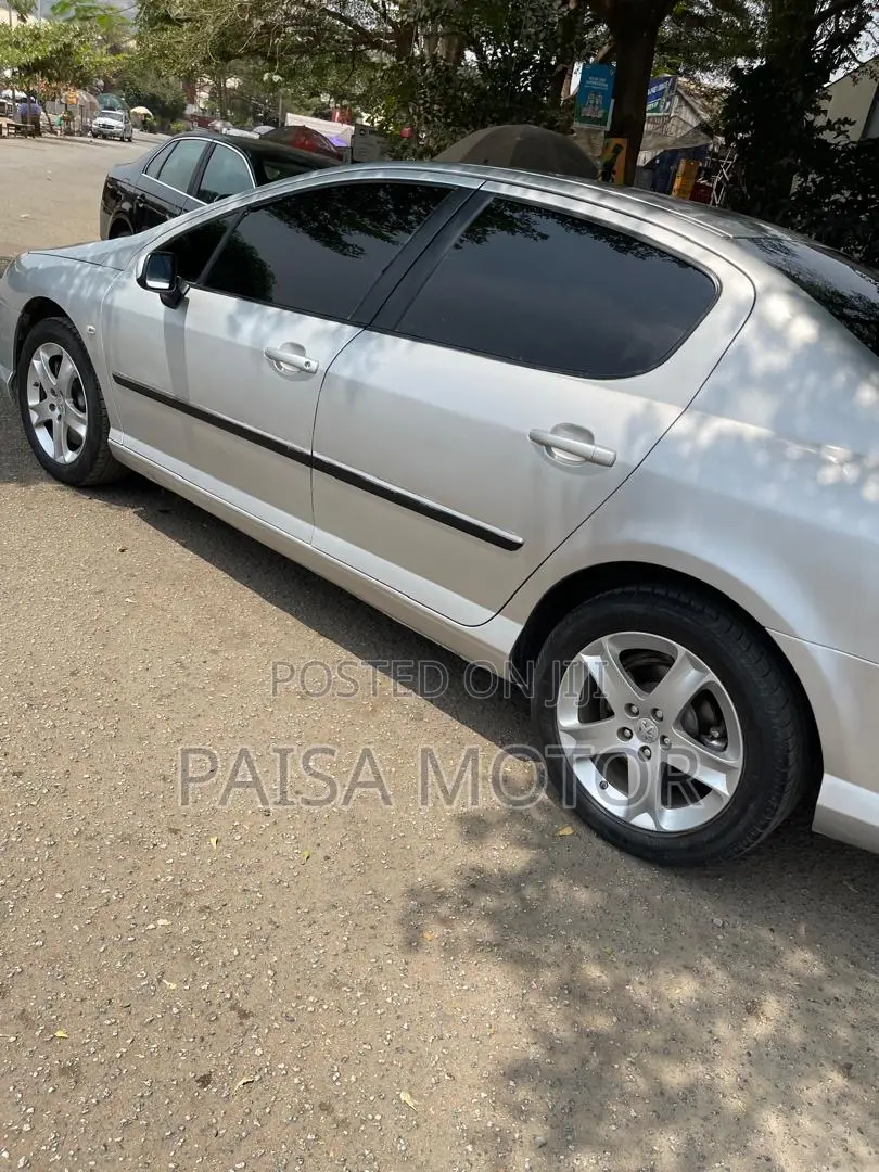 Peugeot 407 2.0 ST Comfort 2006 Silver