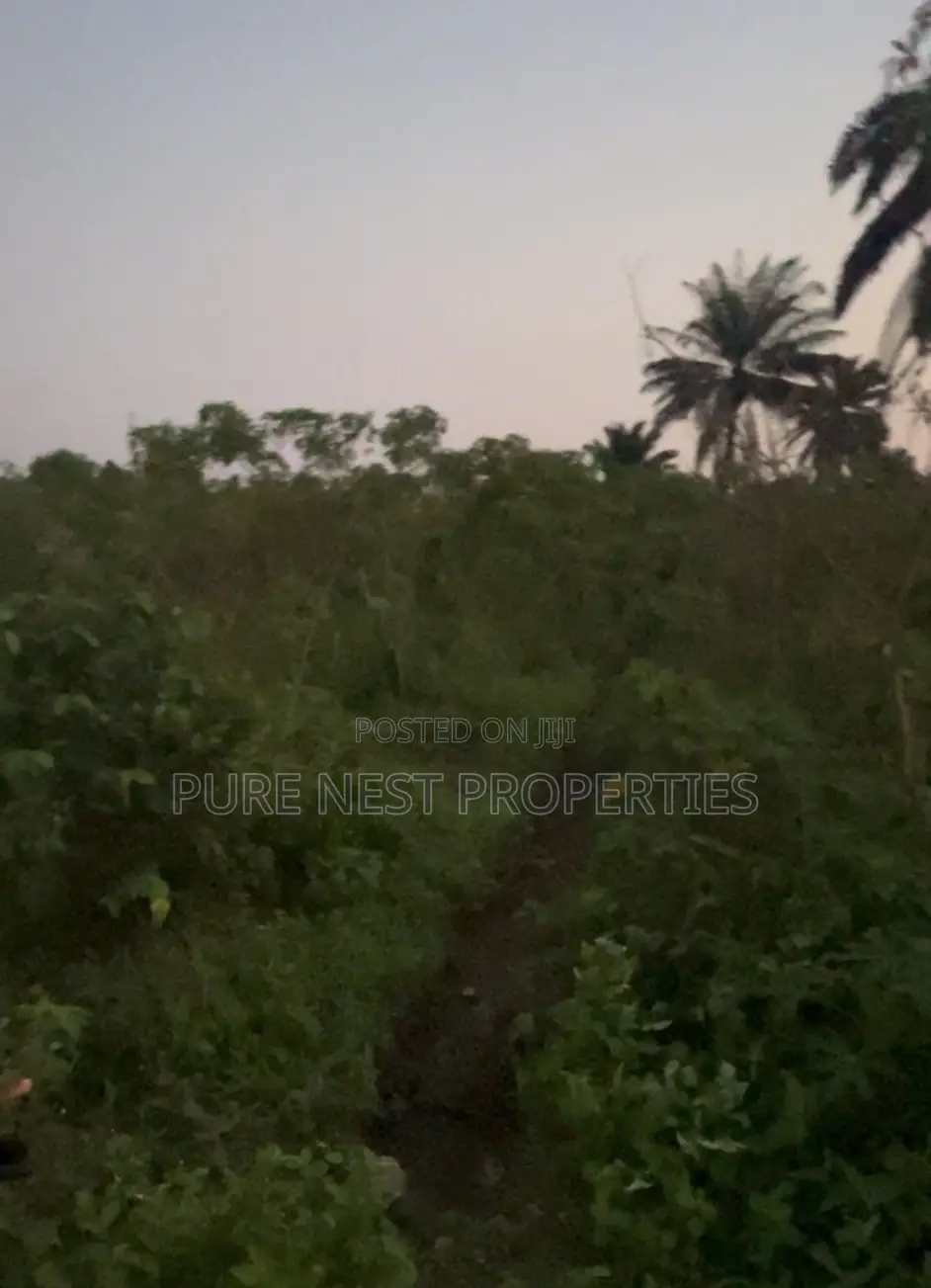 Buy Six (6) Plots Get Extra Half Plot Free!!