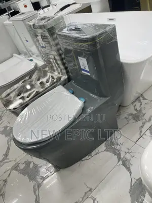 Special Gray England Toilet Seat With Wash Hand Basin