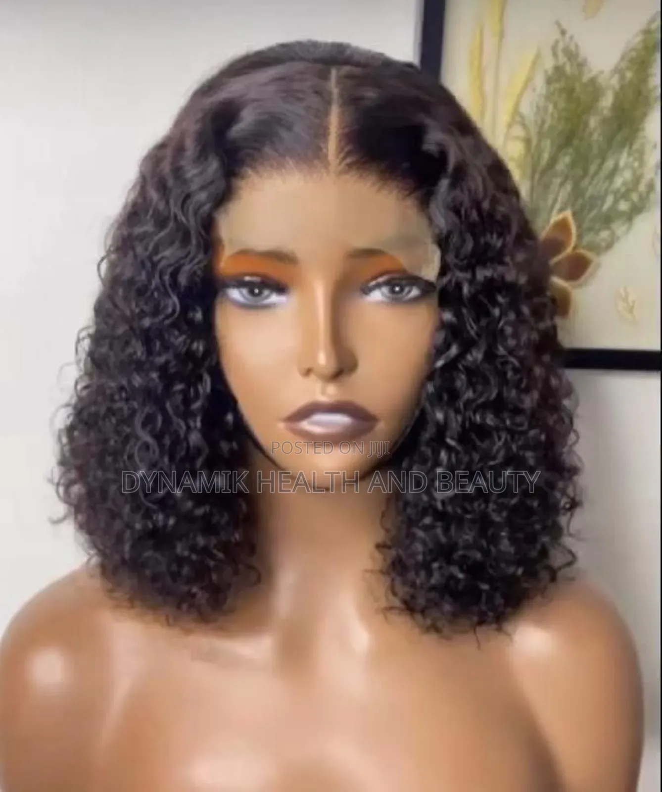 5*5 Full Lace Closure Wig Kinky Curly Human Hair Wig Supplier
