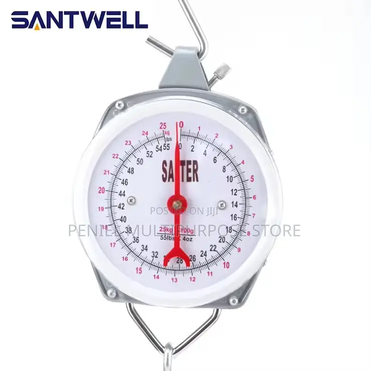 Industrial Mechanical Hanging Spring Dial Scale-100kg