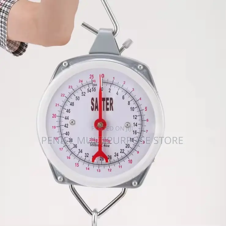 Industrial Mechanical Hanging Spring Dial Scale-100kg