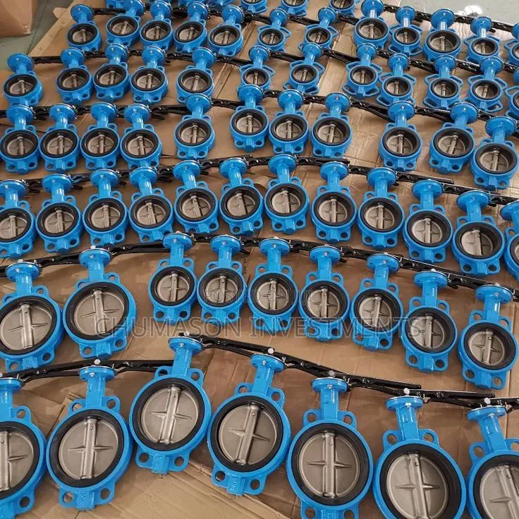 2" to 16" Butterfly Valve