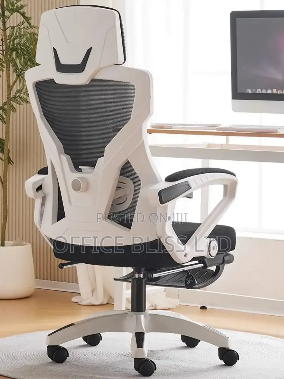 Home Office Egornomic Swivel Office Chair