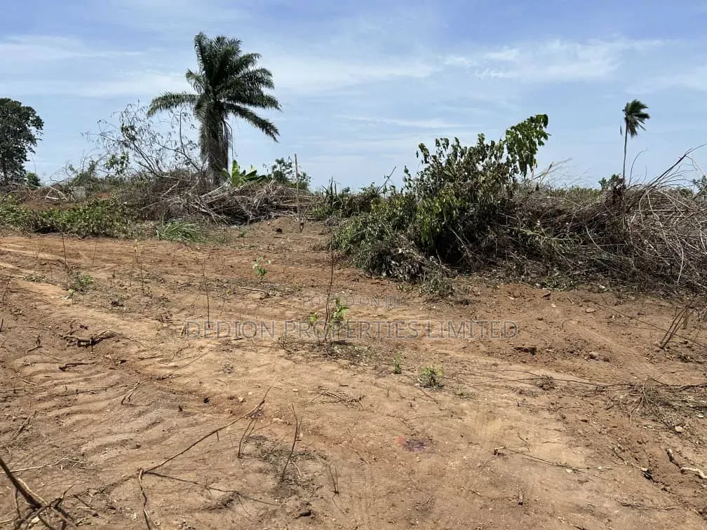 Aiyetoro(Beside) Lekki International Airport Land With C Of O