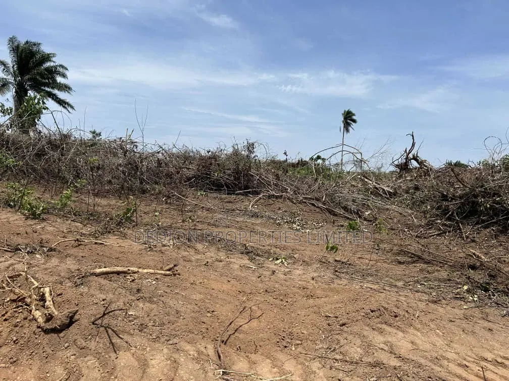 Aiyetoro(Beside) Lekki International Airport Land With C Of O