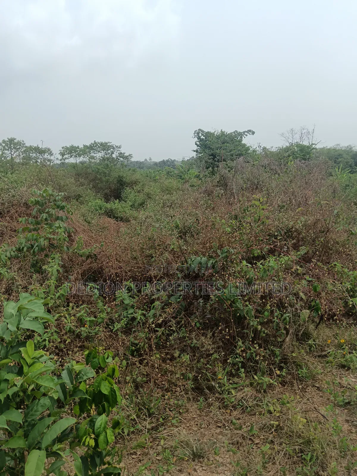 Awoyaya Land With Gazette, Deed Of Assignment And Registered Survey