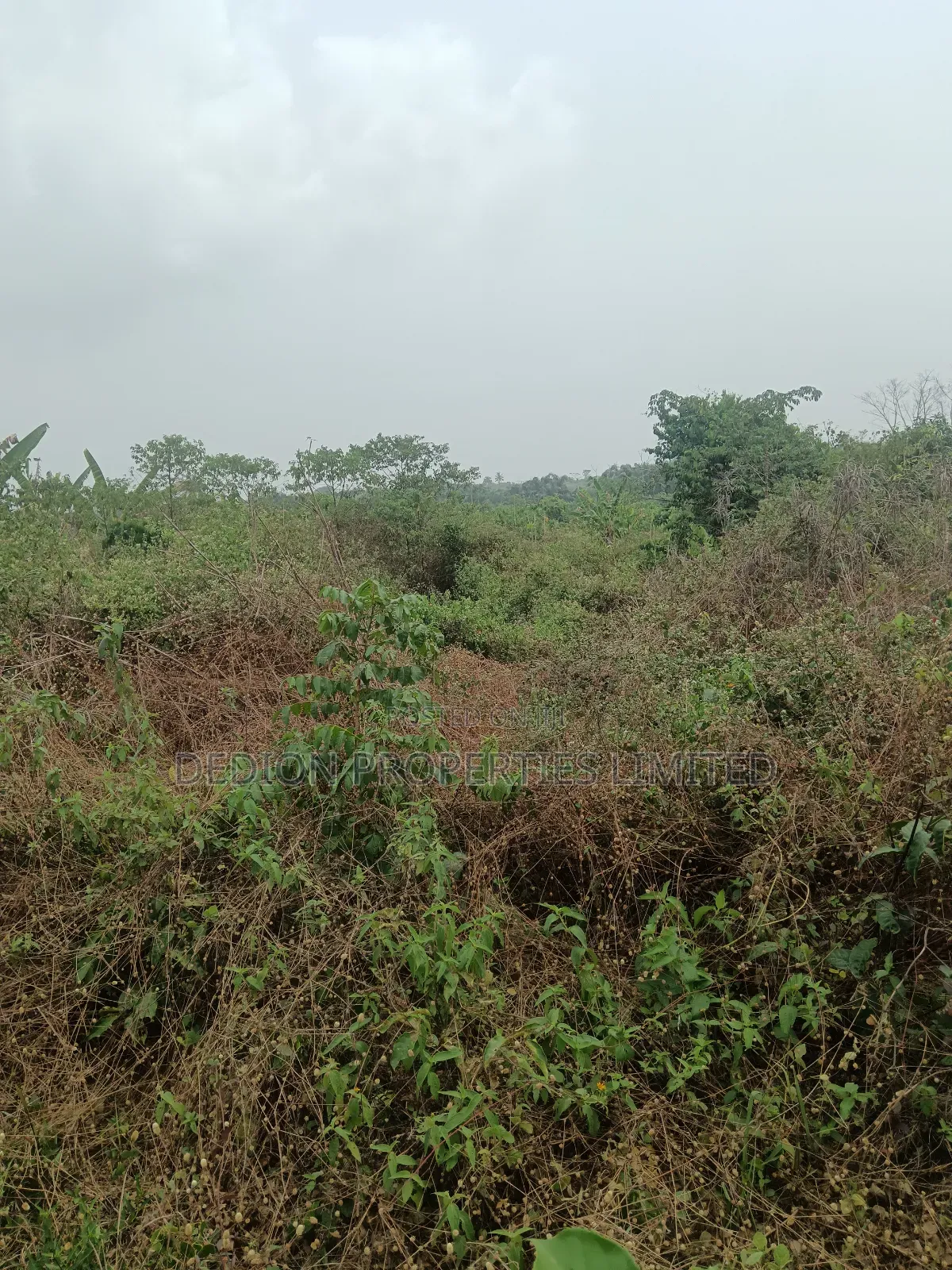 Awoyaya Land With Gazette, Deed Of Assignment And Registered Survey