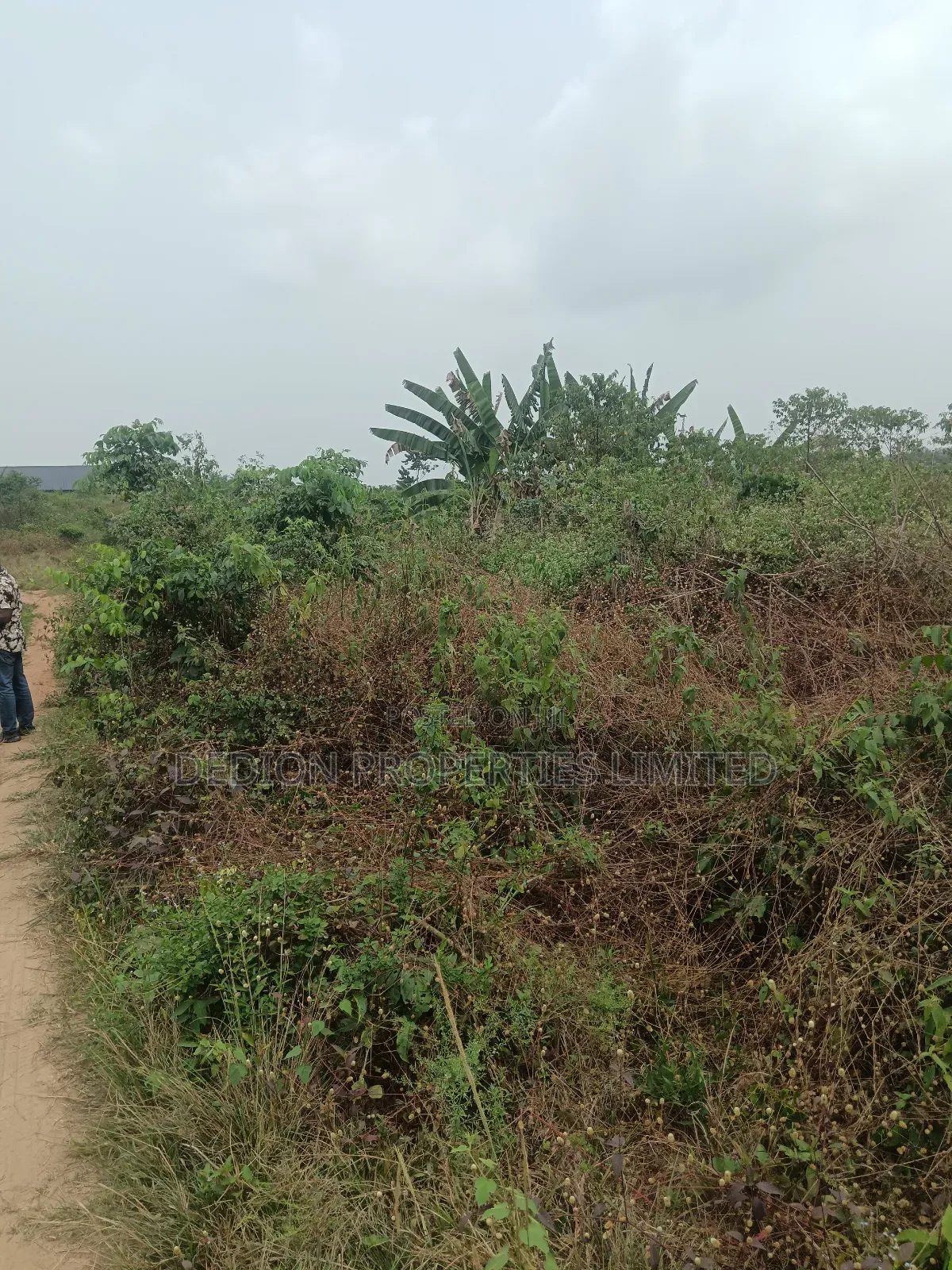 Awoyaya Land With Gazette, Deed Of Assignment And Registered Survey