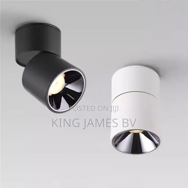 Convertible Parapet and Single Track Light