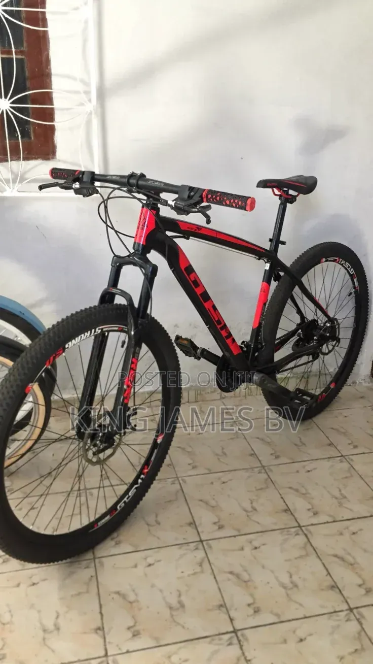 Unisex Adult Bicycle
