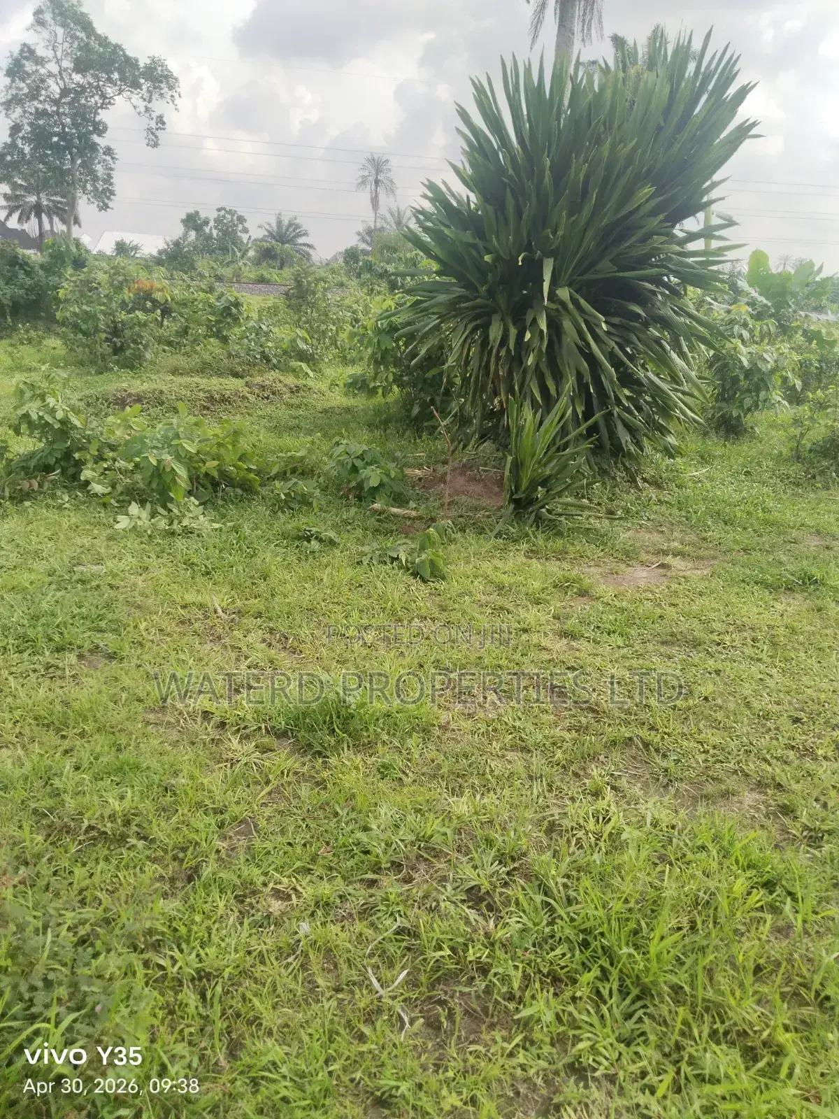36 Plots of Land