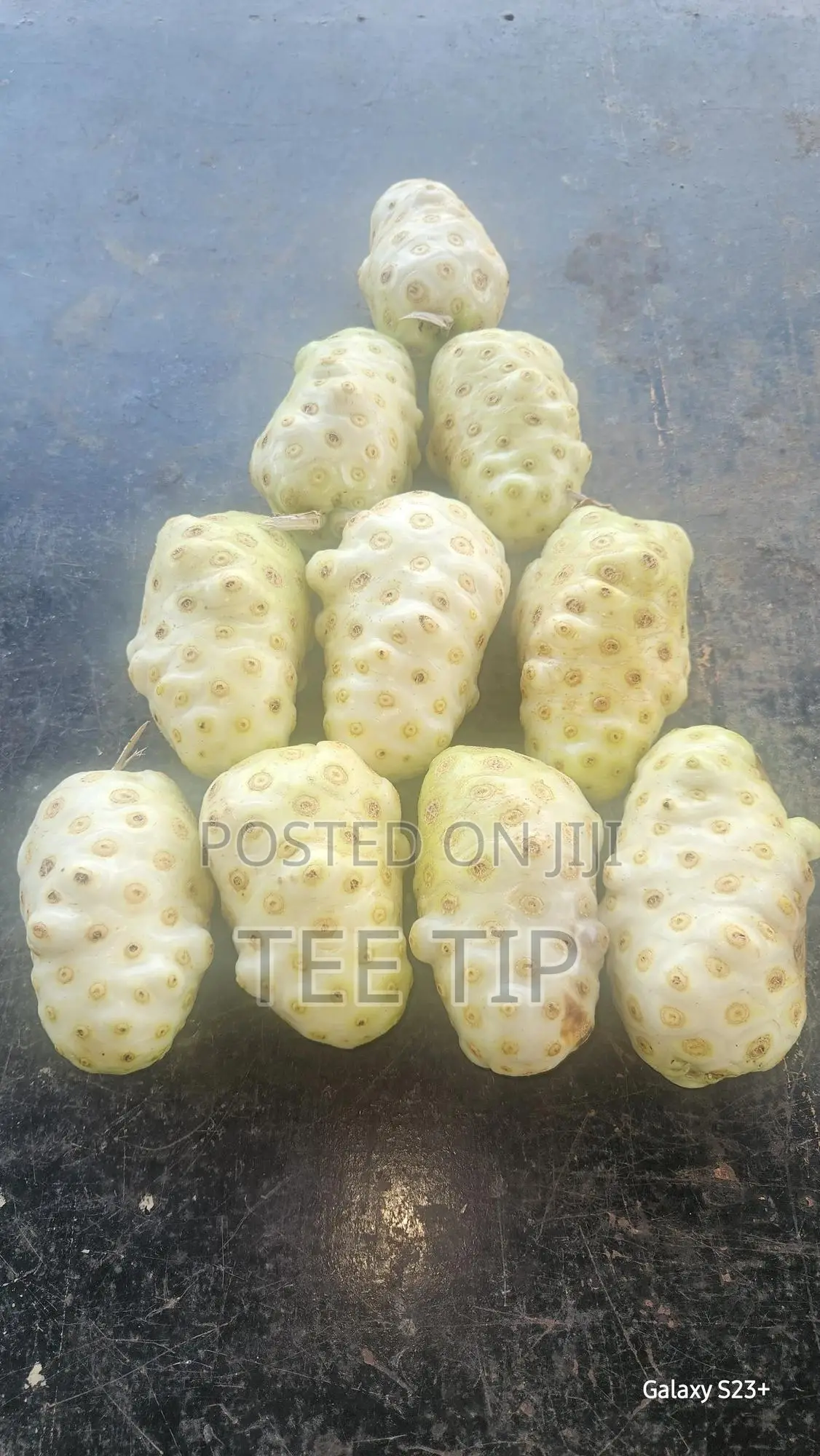 Fresh and Dried Noni Fruits