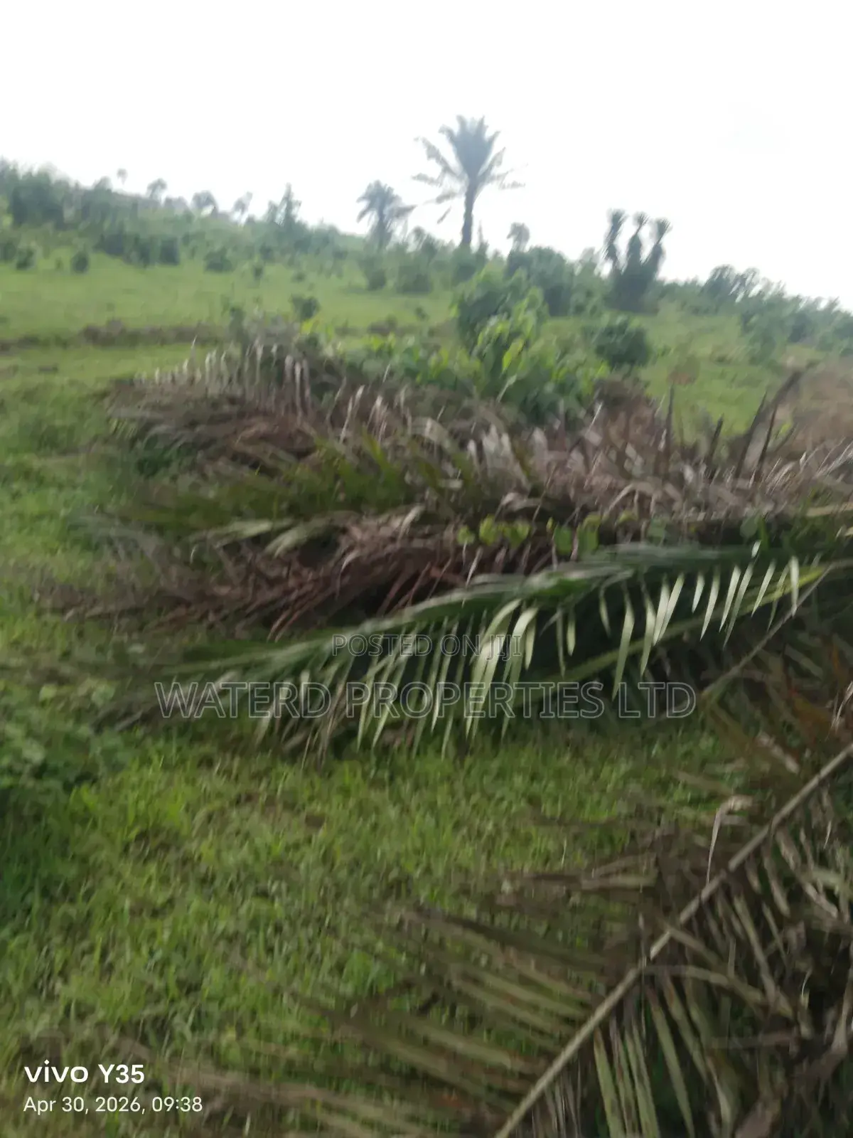36 Plots of Land