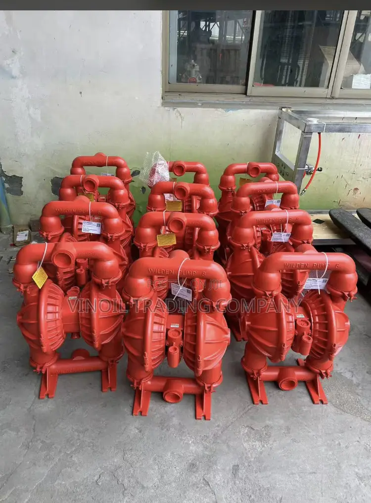 Wilden Air-Operated Double Diaphragm Pump
