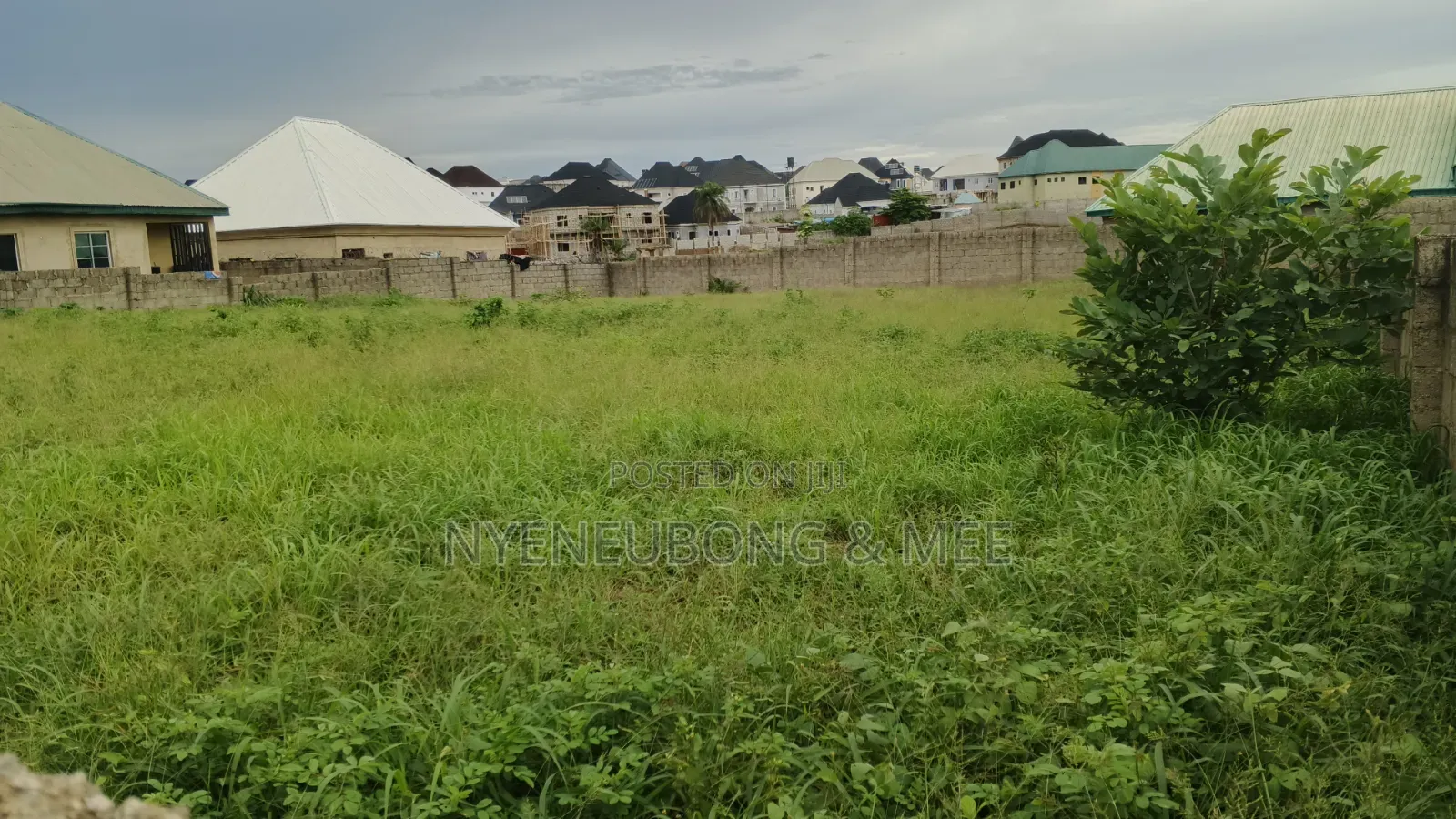 Virgin Land for Sale