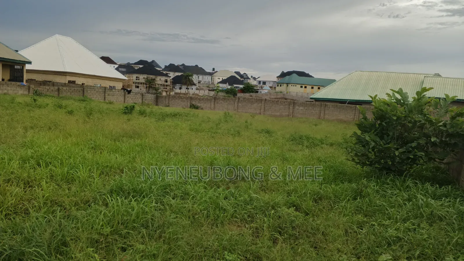 Virgin Land for Sale