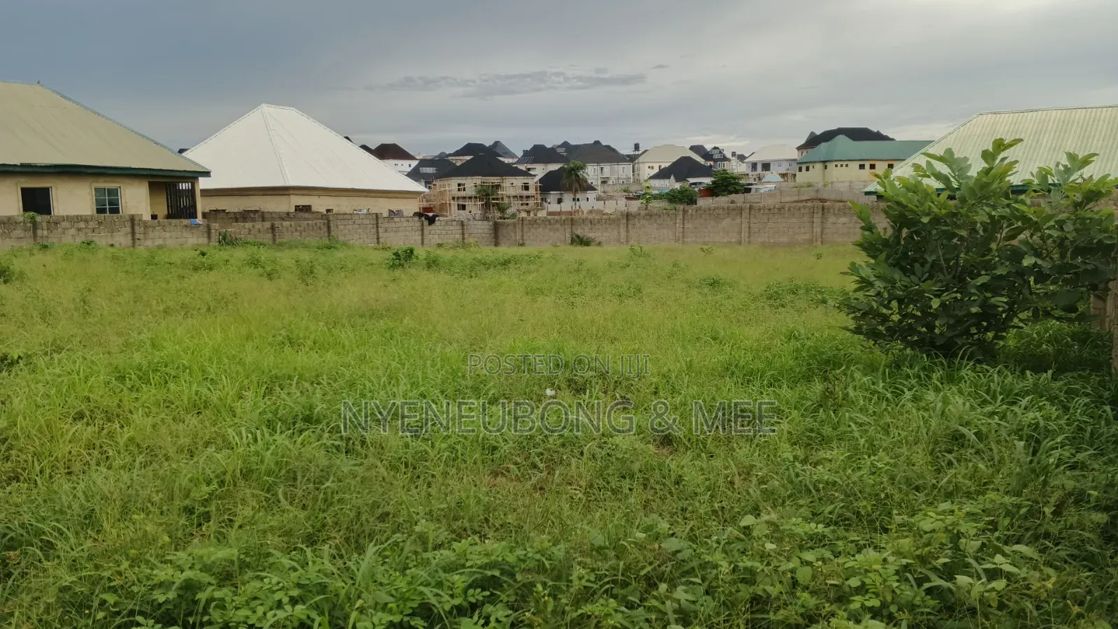 Virgin Land for Sale
