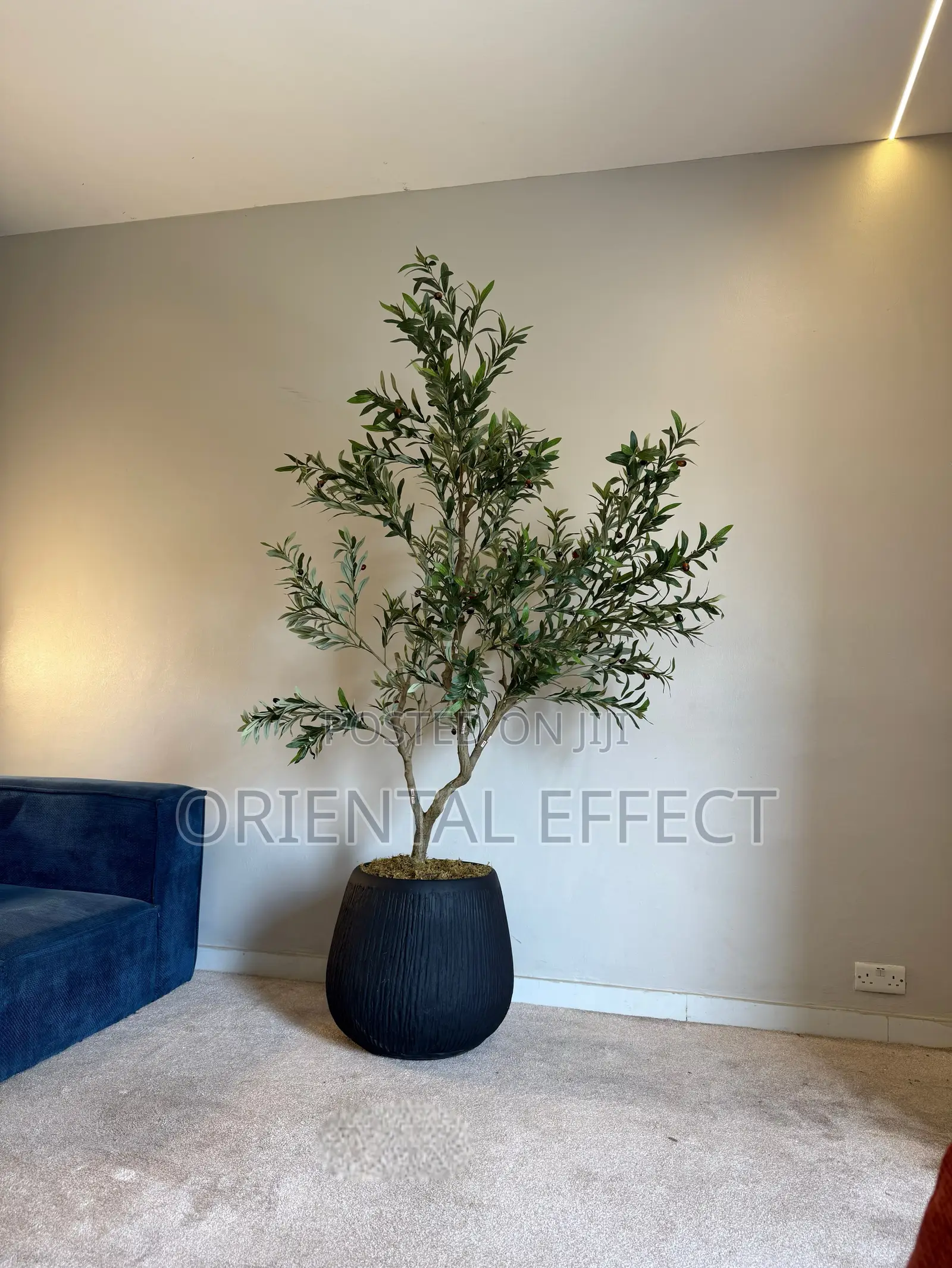 Matte Black Rough Merlot Pot Artificial Wide Olive Tree – Home Décor