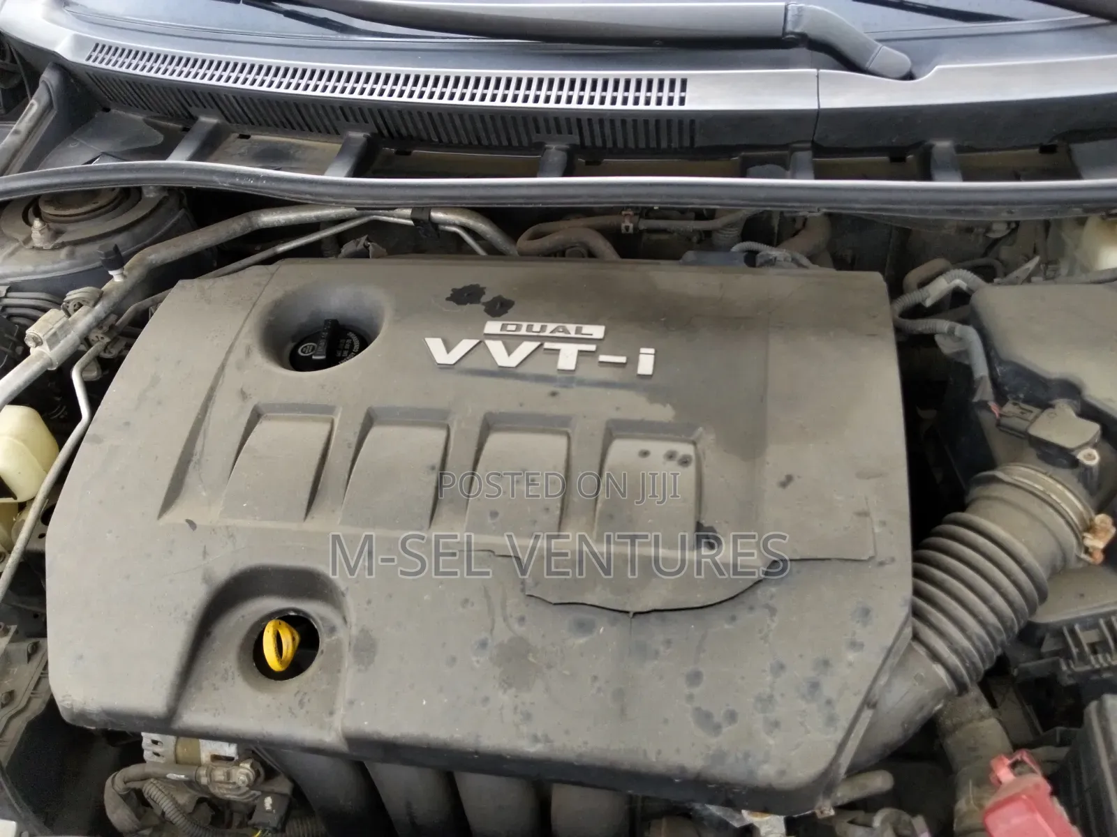 Toyota Corolla LE 4dr Sedan (1.8L 4cyl 4A) 2010 Gray