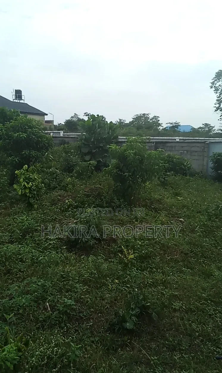 Cheap Plot of Land 60x120 at Igbokuta