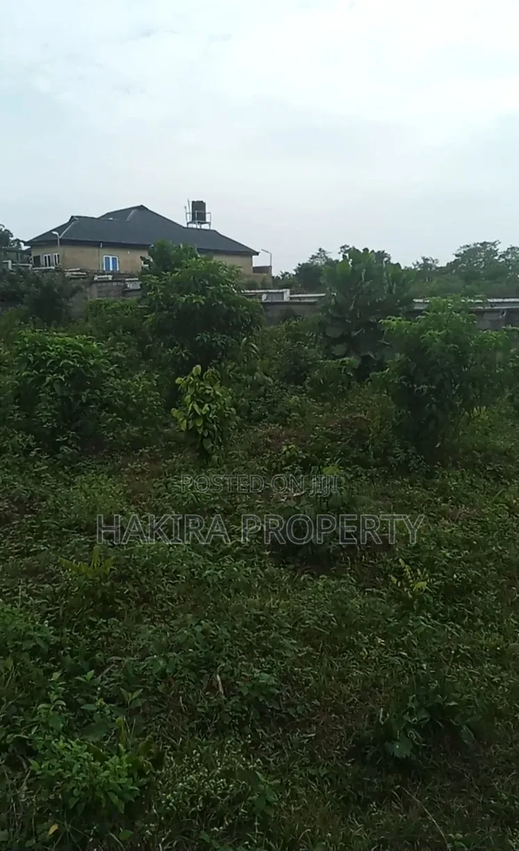 Cheap Plot of Land 60x120 at Igbokuta