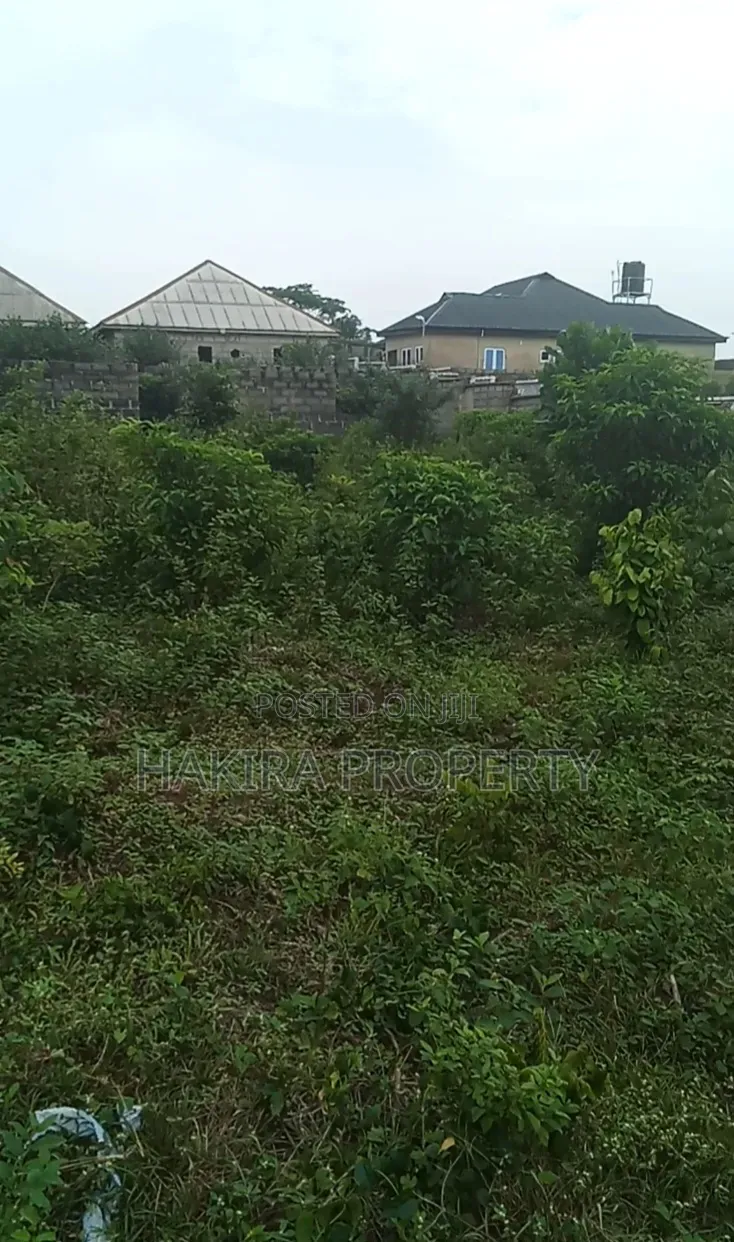 Cheap Plot of Land 60x120 at Igbokuta