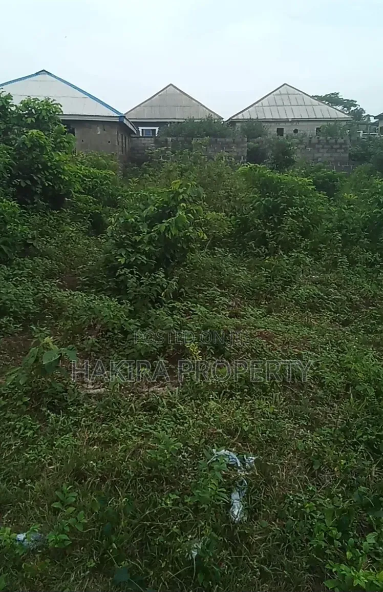 Cheap Plot of Land 60x120 at Igbokuta