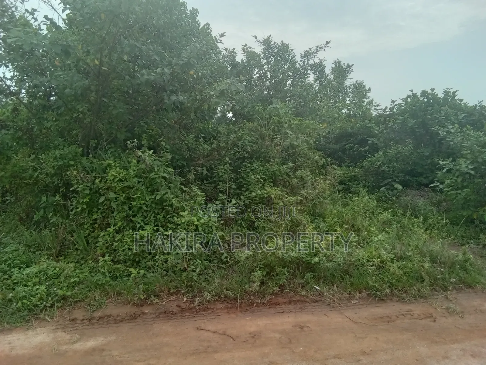 Cheap Plot of Land at Igbokuta