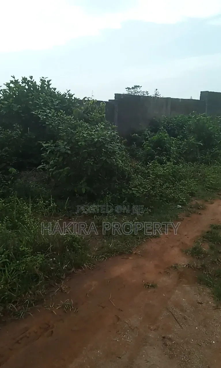 Cheap Plot of Land at Igbokuta