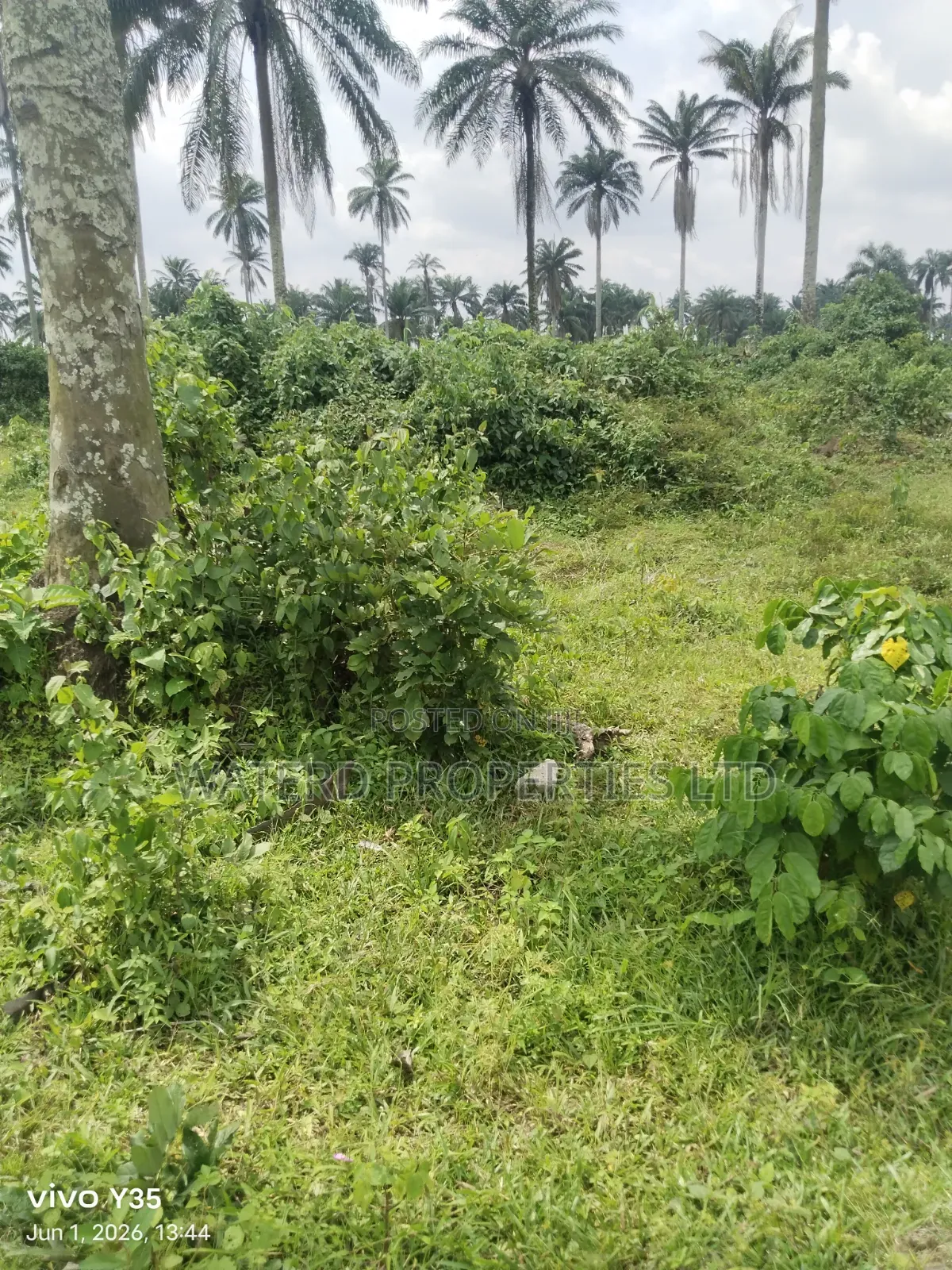 7 Plots of Land Off the Ring Road Akpajo