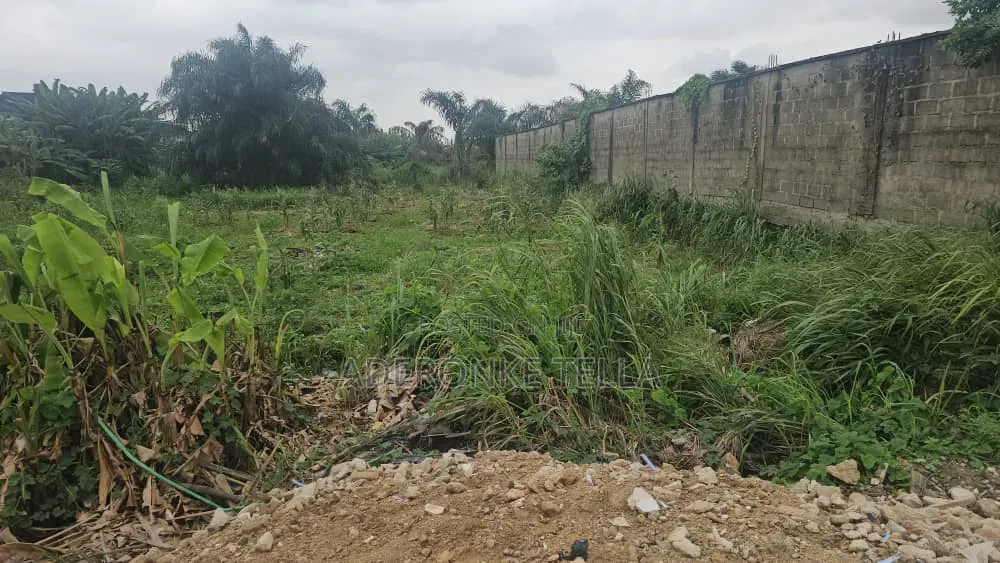 A Plot Of Land With Certificate Of Occupancy
