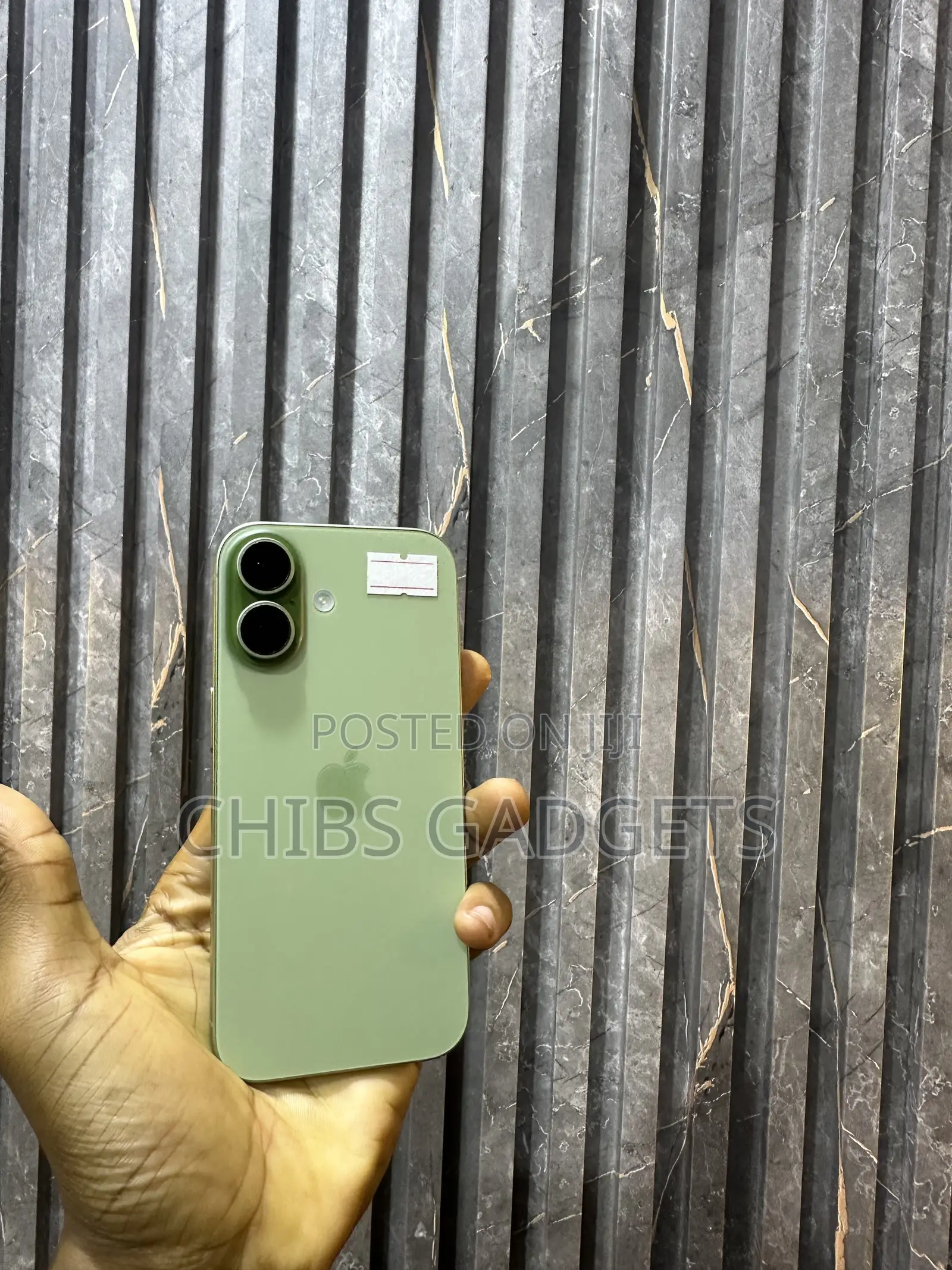 Apple iPhone 17 256 GB Green