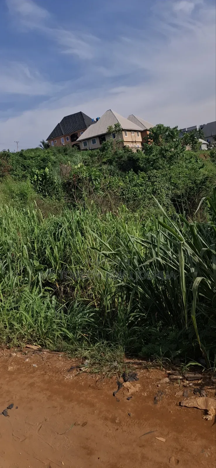 Land Is Gold