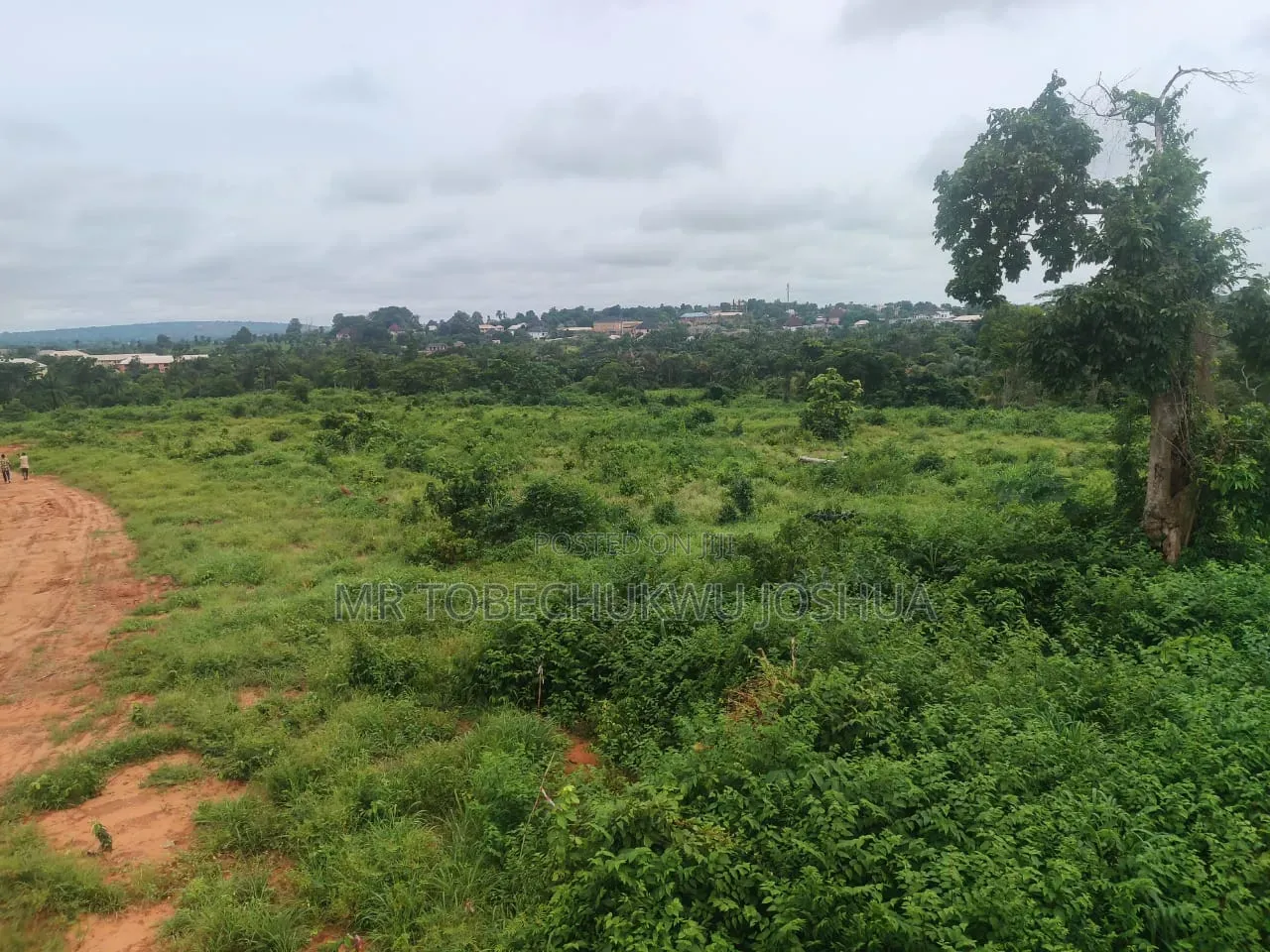 Affordable Estate Plot With Verified Documents