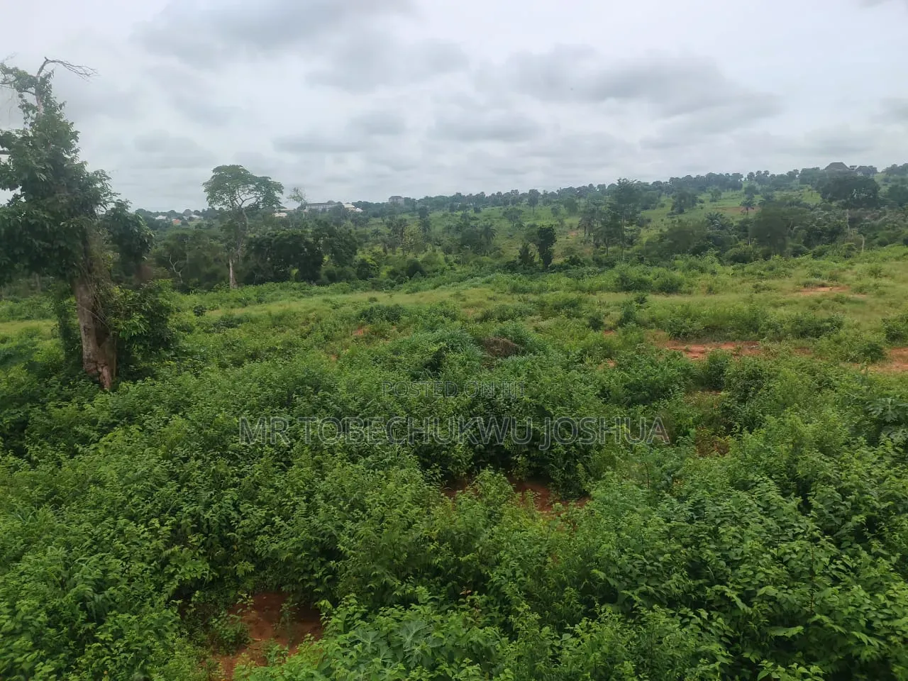 Affordable Estate Plot With Verified Documents