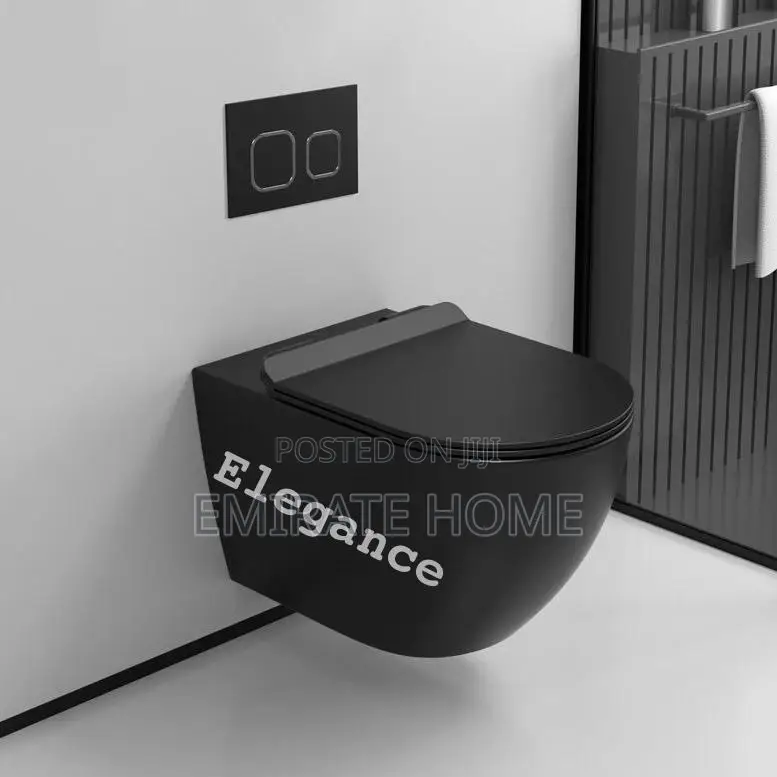 England Wall Hung Black Toilet