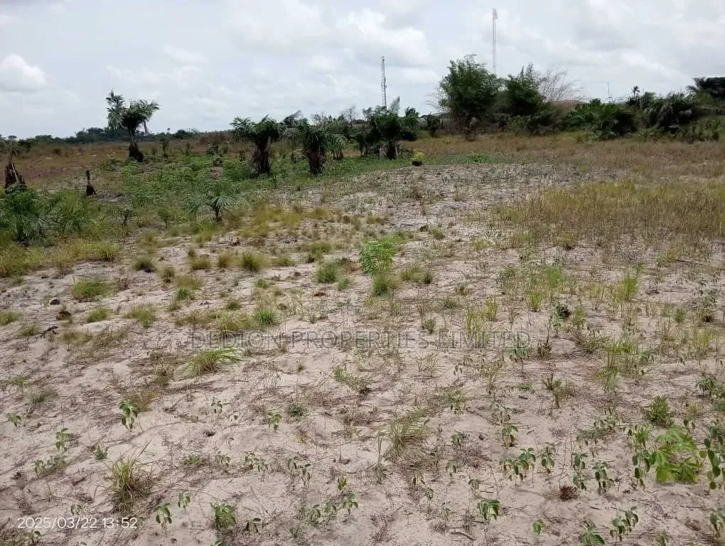 Ode Omi Ibeju Lekki Land With Registered Survey Deed of Assignment