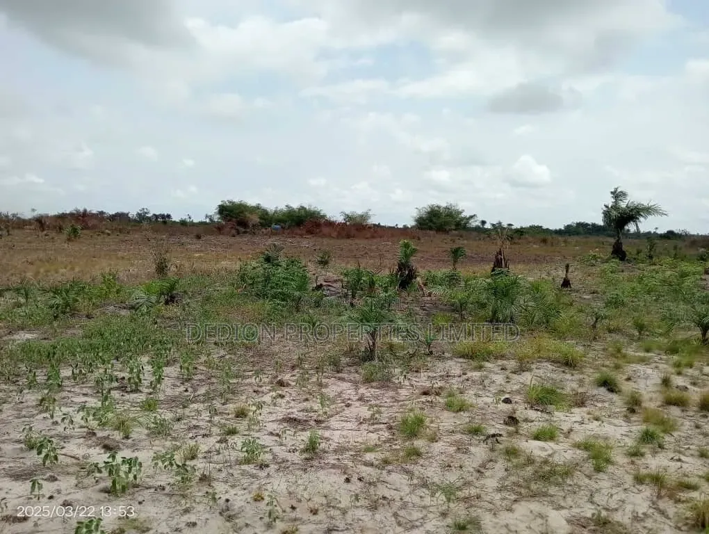 Ode Omi Ibeju Lekki Land With Registered Survey Deed of Assignment