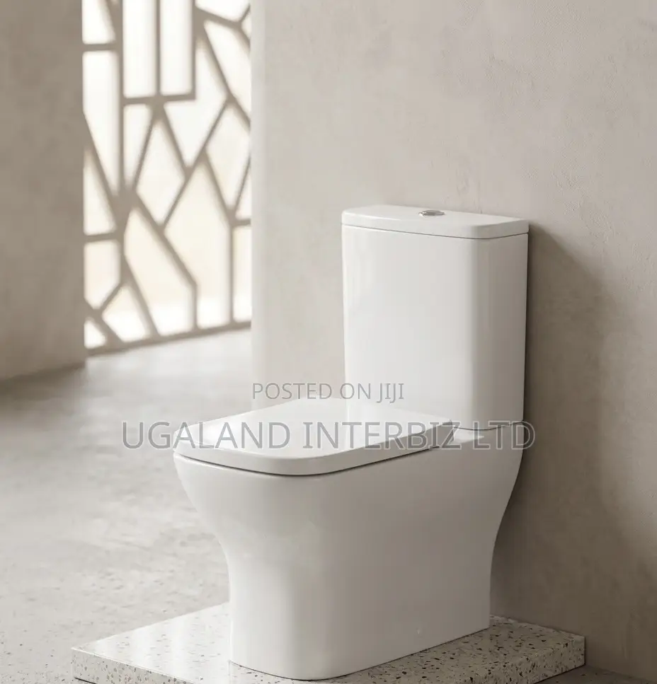 Modern Ceramic Water Closet
