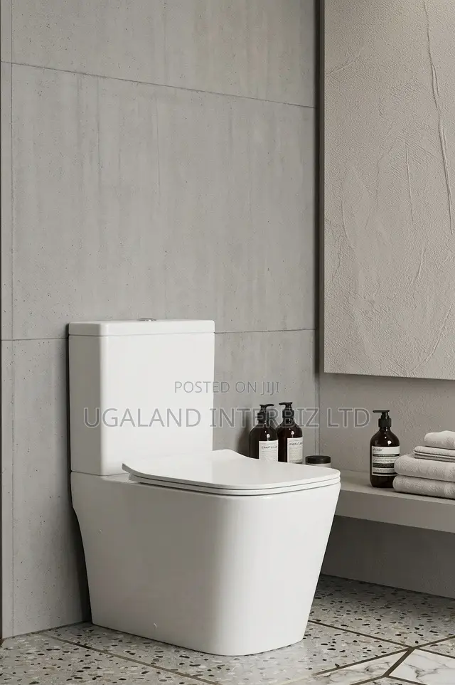 Luxury Dual Flush Toilet