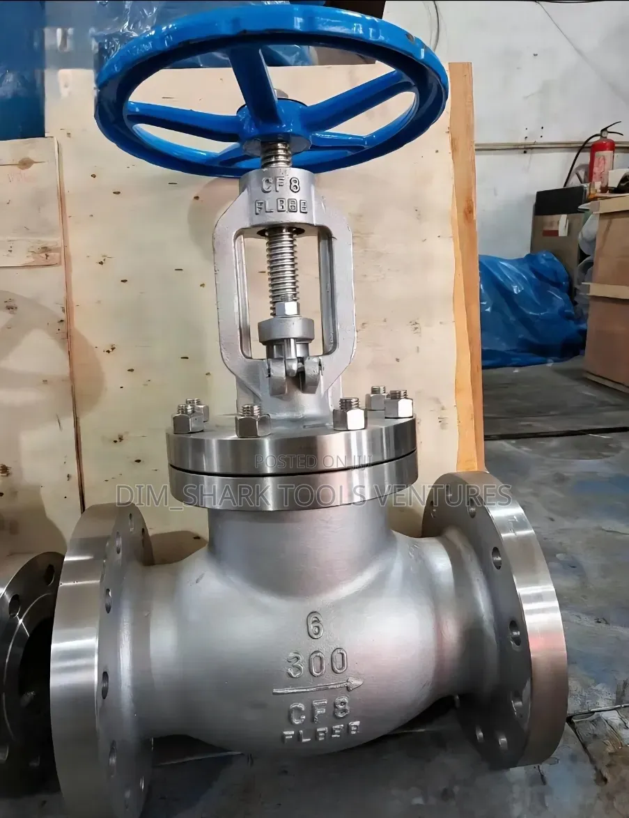 6"-Class 300 Stainless Steel Globe Valve