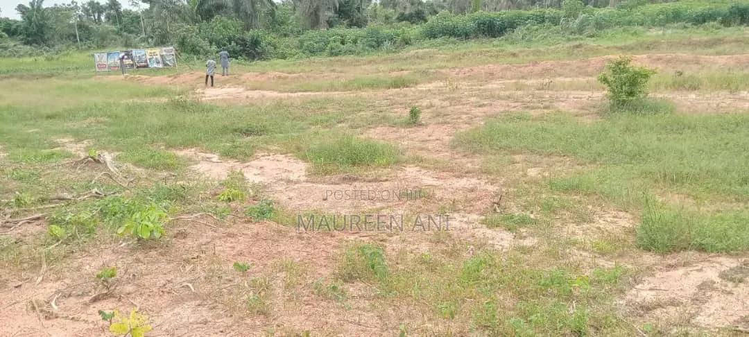 Beach Front Land