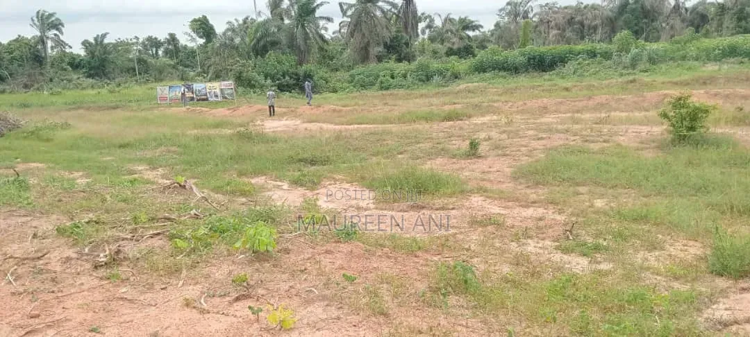 Beach Front Land